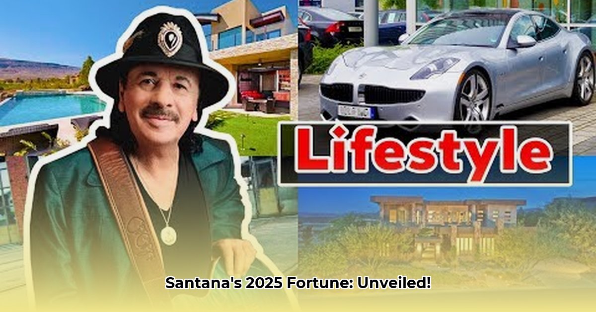 net-worth-of-carlos-santana